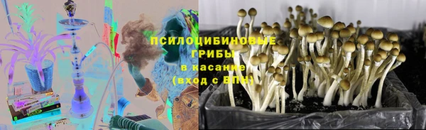 каннабис Алзамай